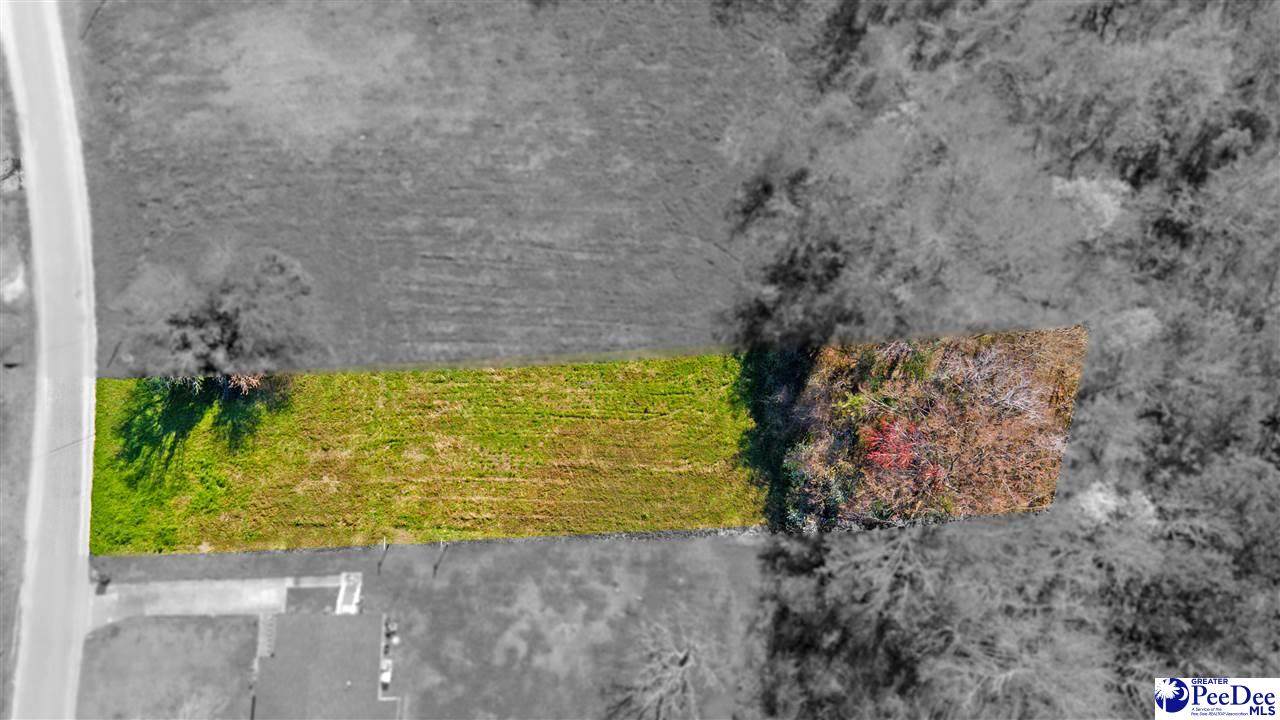 Lot 2 Withlacoochee Ave - Photo 1