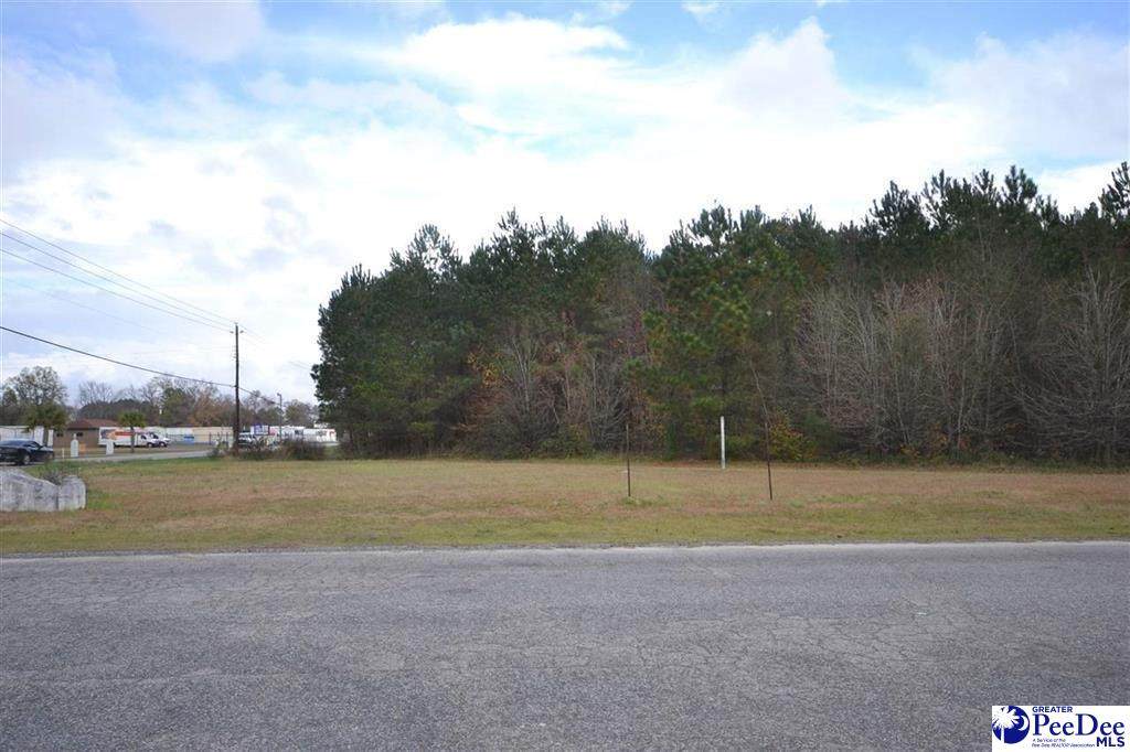 TBD Howle Springs/ Plantation Drive - Photo 1