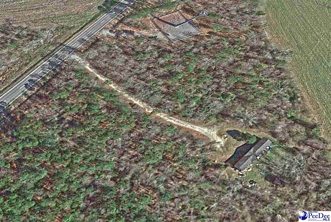 3561 Hwy 41 - Photo 1