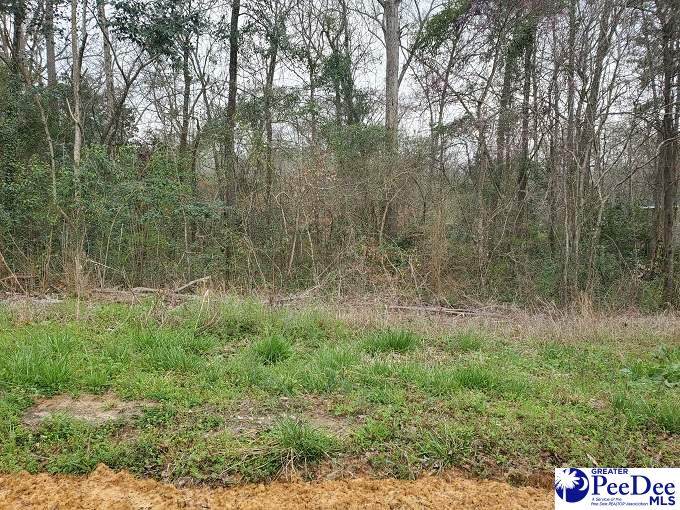 TBD Easterling Circle - Photo 1