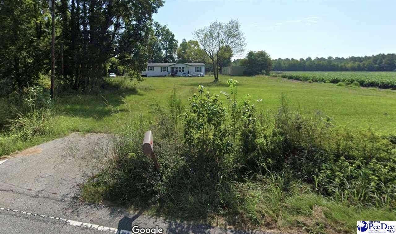 1325 Pudding Swamp Rd - Photo 1
