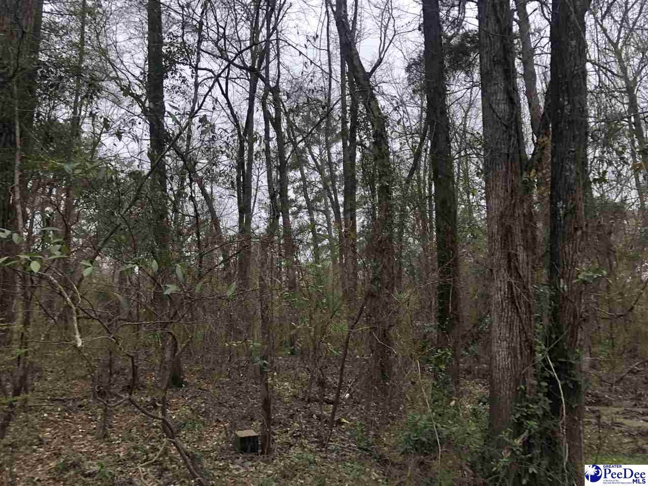 00 Mariposa Drive - Photo 1