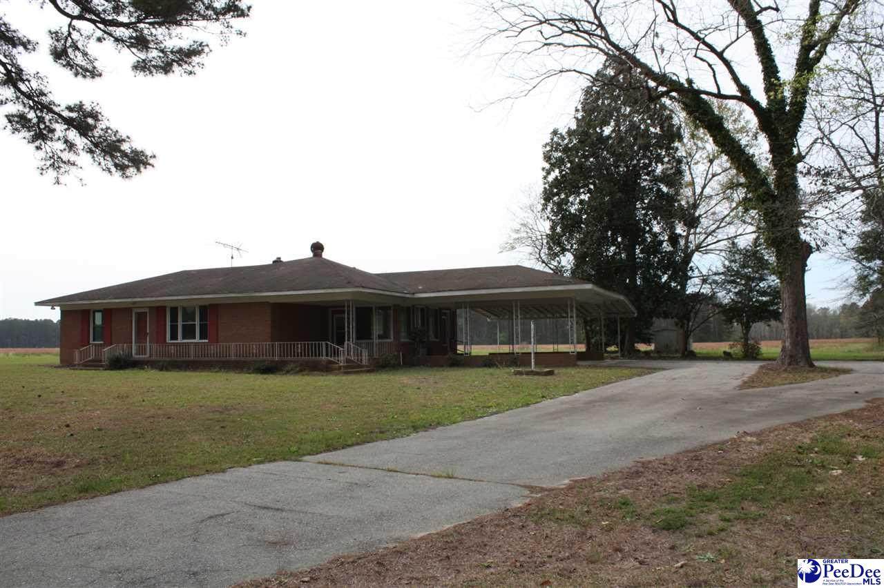 252 Willow Pond Rd - Photo 1