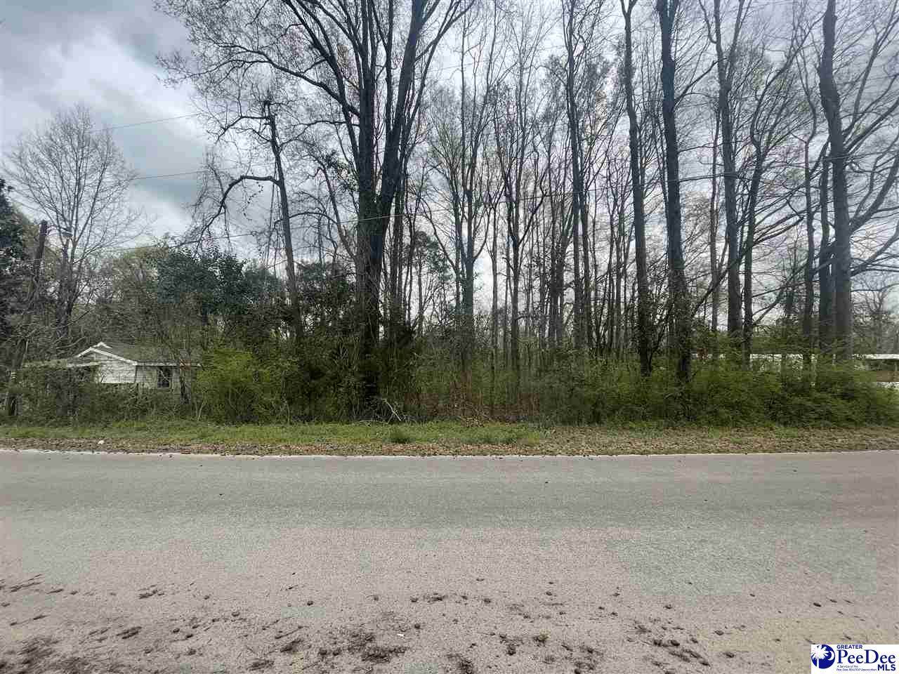 Lot 6 Allentown Drive - Photo 1