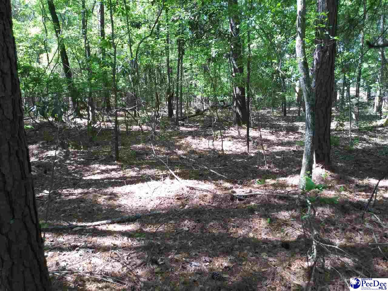 TBD Robert Road, Lot 13 - Photo 1