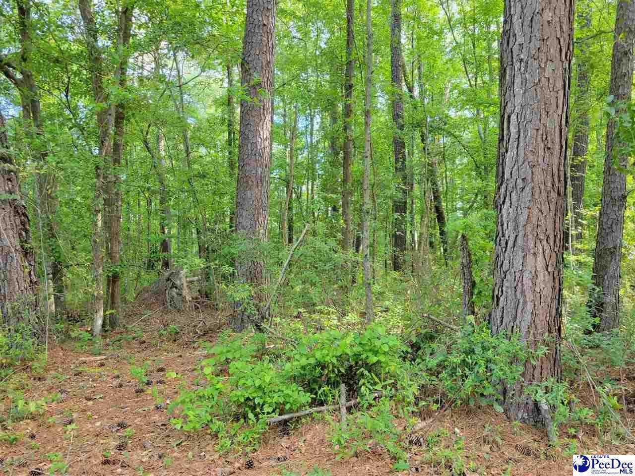 209 South Oak Rd - Photo 1