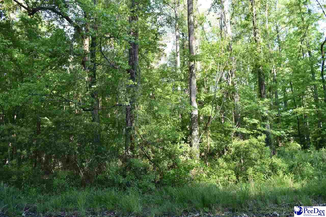 621 Forest Acres Drive - Photo 1