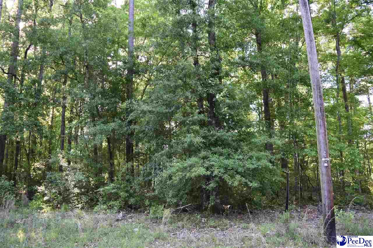 624 Forest Acres Drive - Photo 1