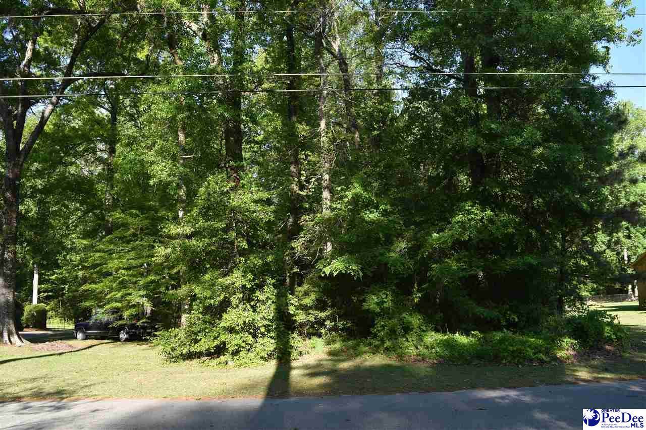650 Forest Acres Drive - Photo 1