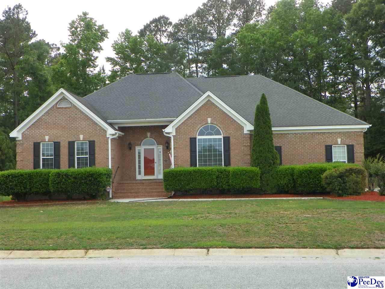 3829 Palmer Drive - Photo 1