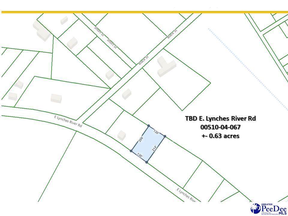 TBD Lynches River Rd - Photo 1