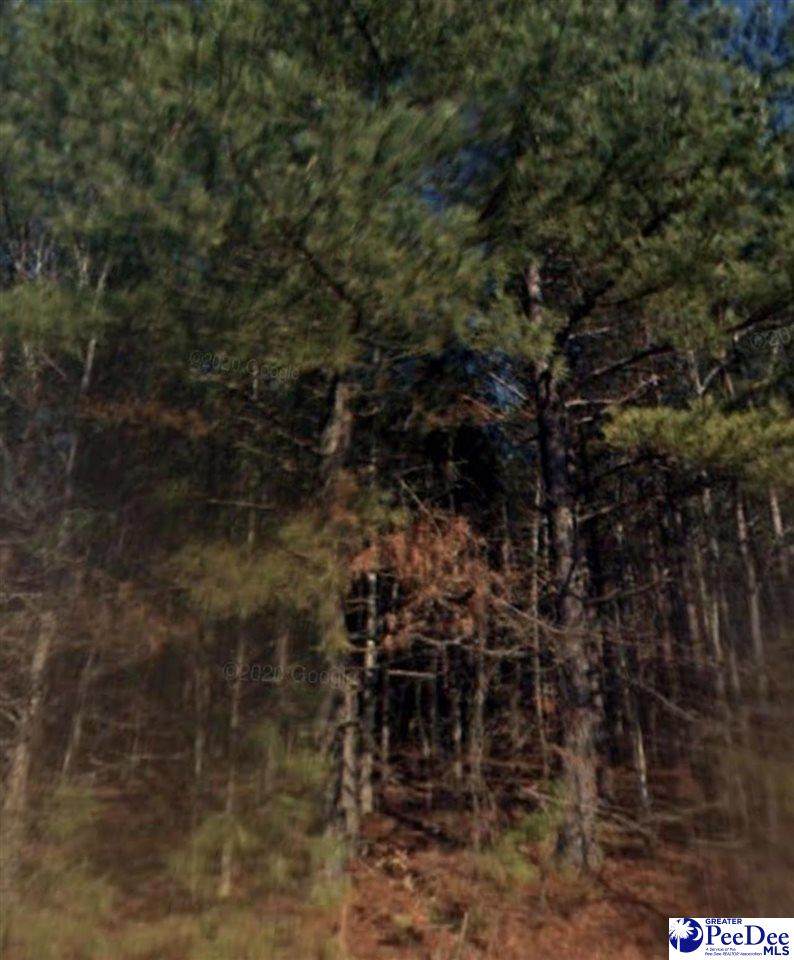 TBD St Hwy 107 - Photo 1