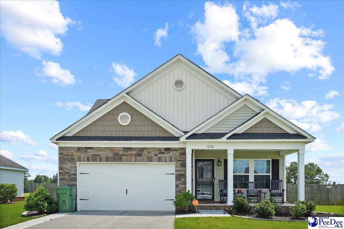 1236 Purple Martin Drive - Photo 1