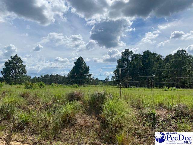 1278 Widow Johnson Road - Photo 1
