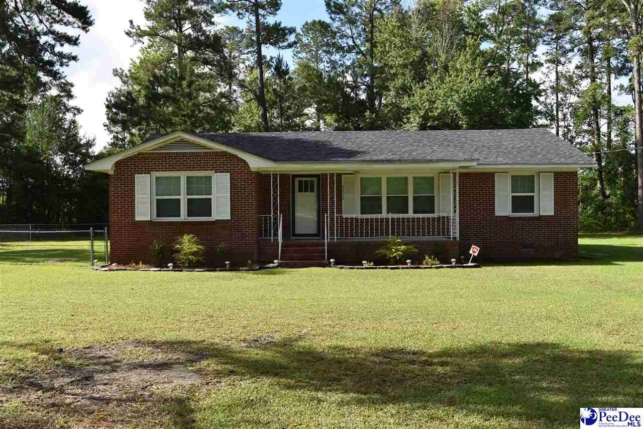 3234 Effingham Highway - Photo 1
