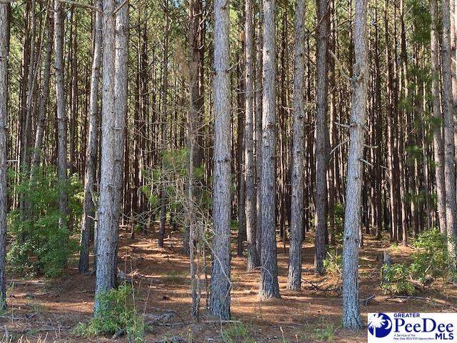 TBD Highway 1 - Photo 1