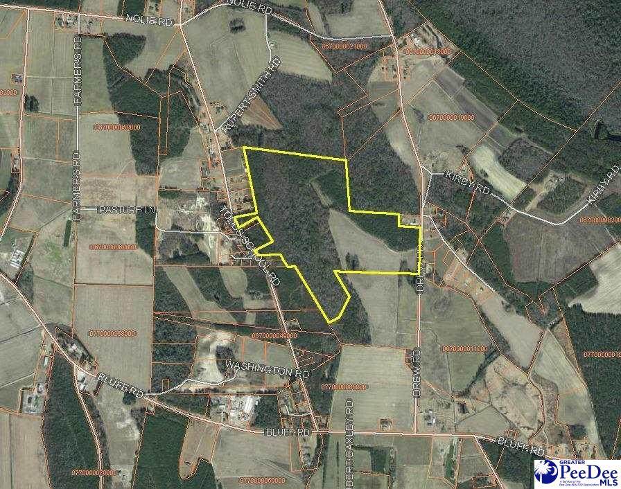 366 Todd School Rd. - Photo 1