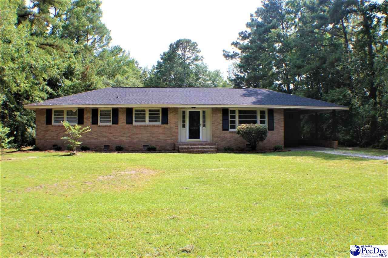 1325 Driftwood Drive - Photo 1