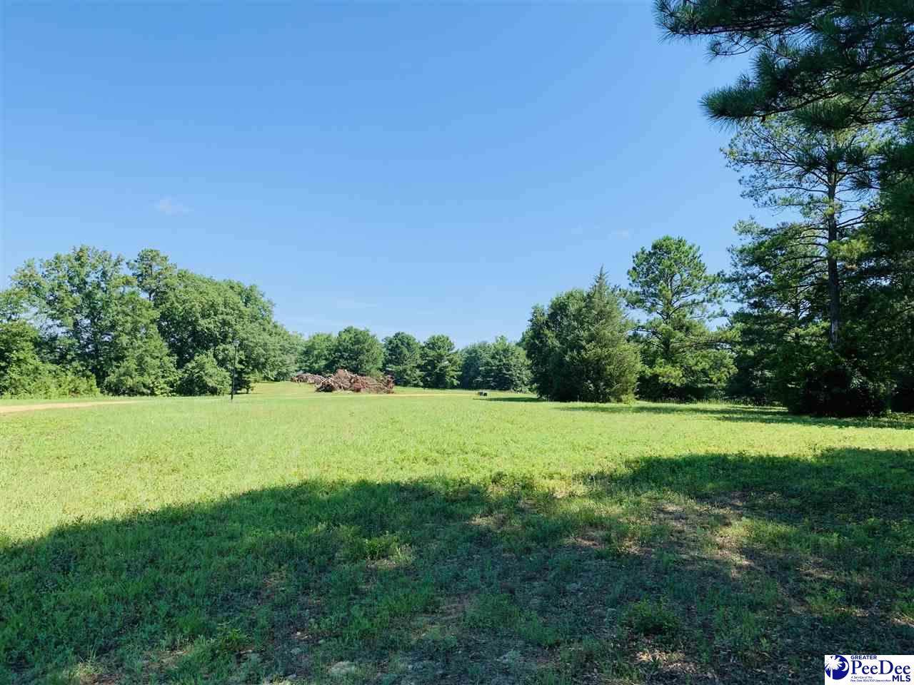 Richardson Trail-Lot 3 - Photo 1