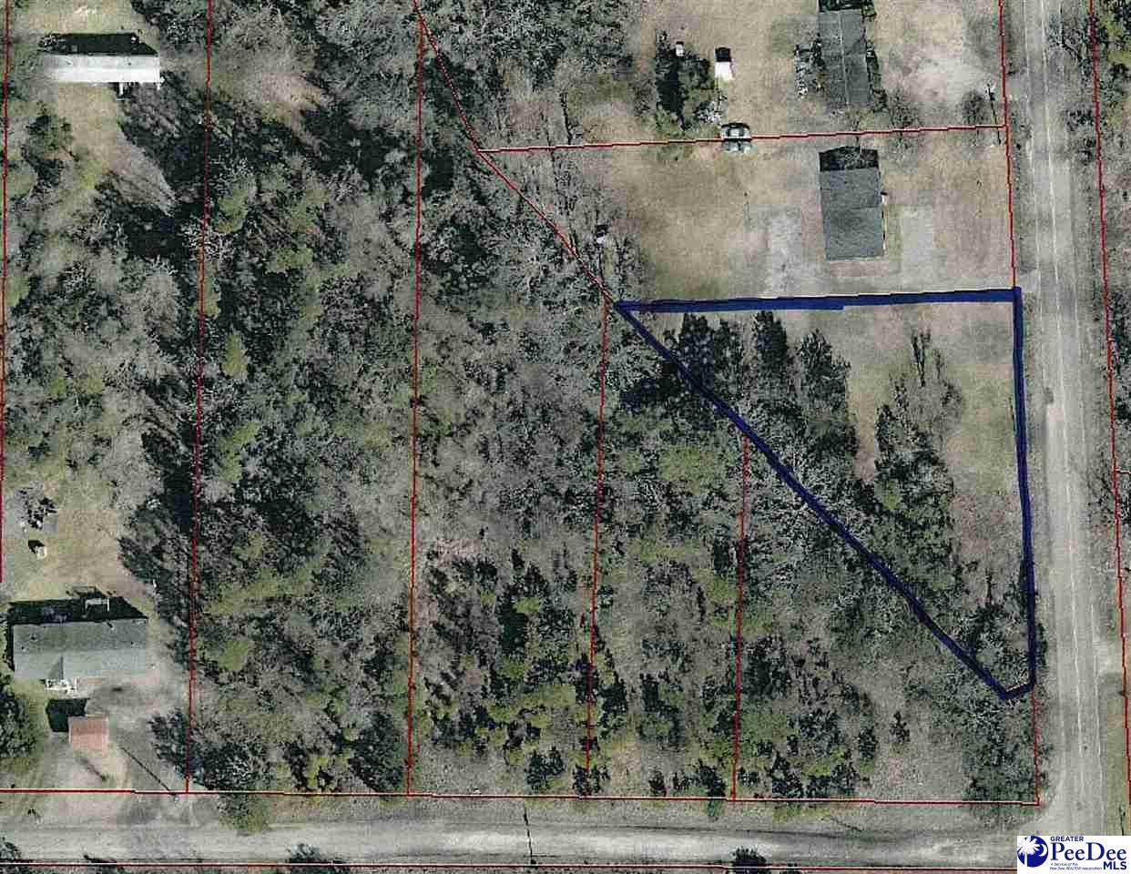1215 Turner Road - Photo 1