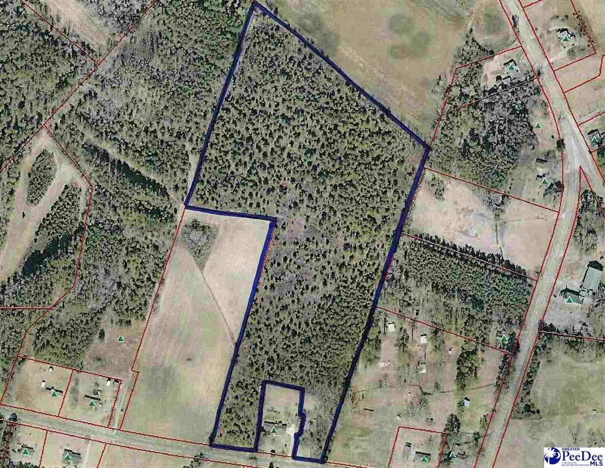 TBD Cartersville Hwy - Photo 1