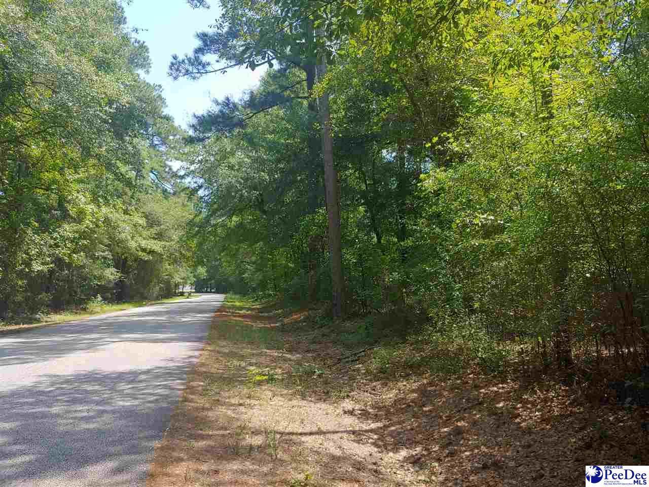 TBD Byrnes Blvd - Photo 1