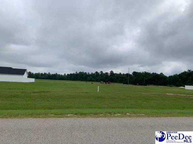 LOT 21 Lullwater Drive - Photo 1
