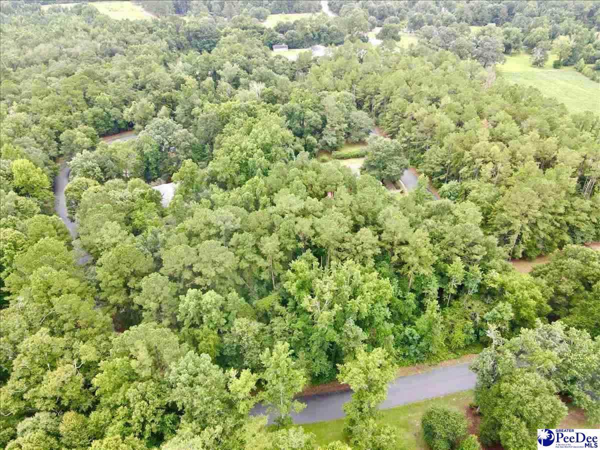 1429 Marion Green Road - Photo 1
