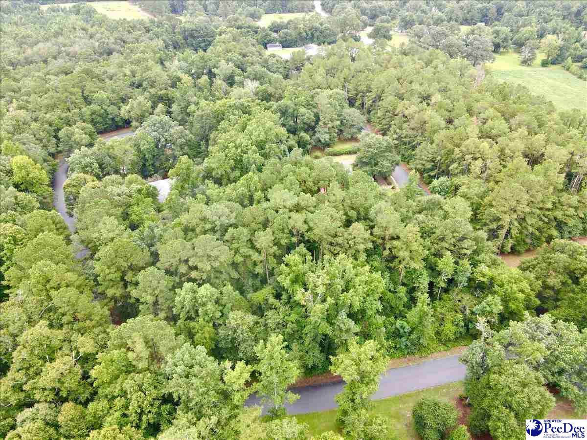 1467 Marion Green Road - Photo 1