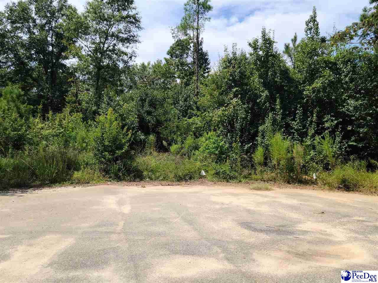700 Butler Lane - Photo 1