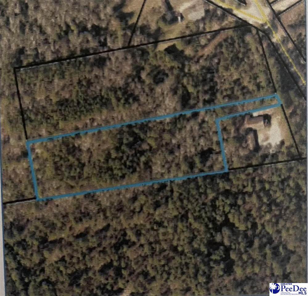 TBD Society Hill Rd - Photo 1