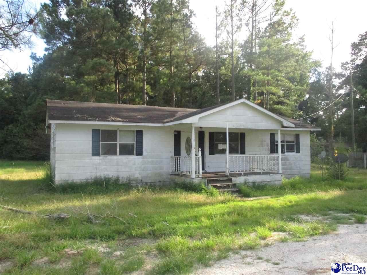 3110 Effingham Hwy - Photo 1