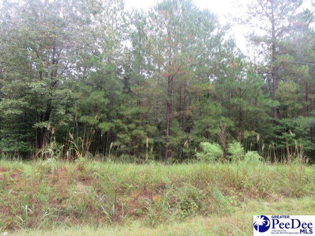 020 Hannah Pond Rd - Photo 1