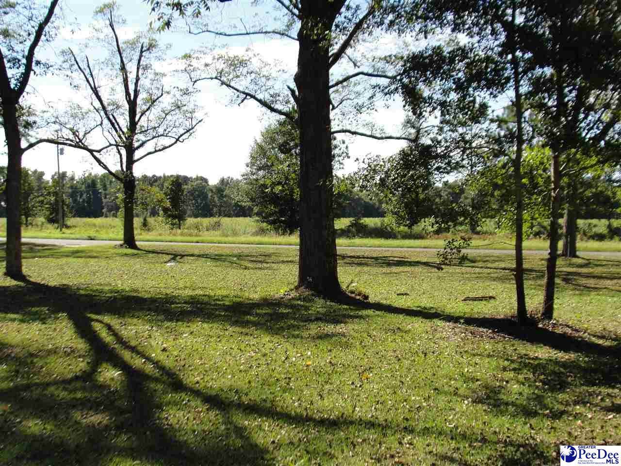 TBD Bay Catfish Rd. - Photo 1