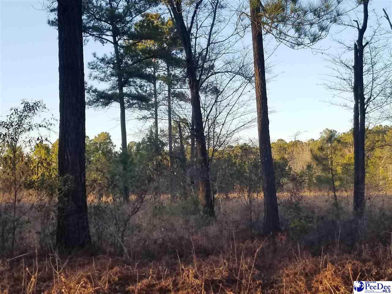TBD Kentyre Rd - Photo 1