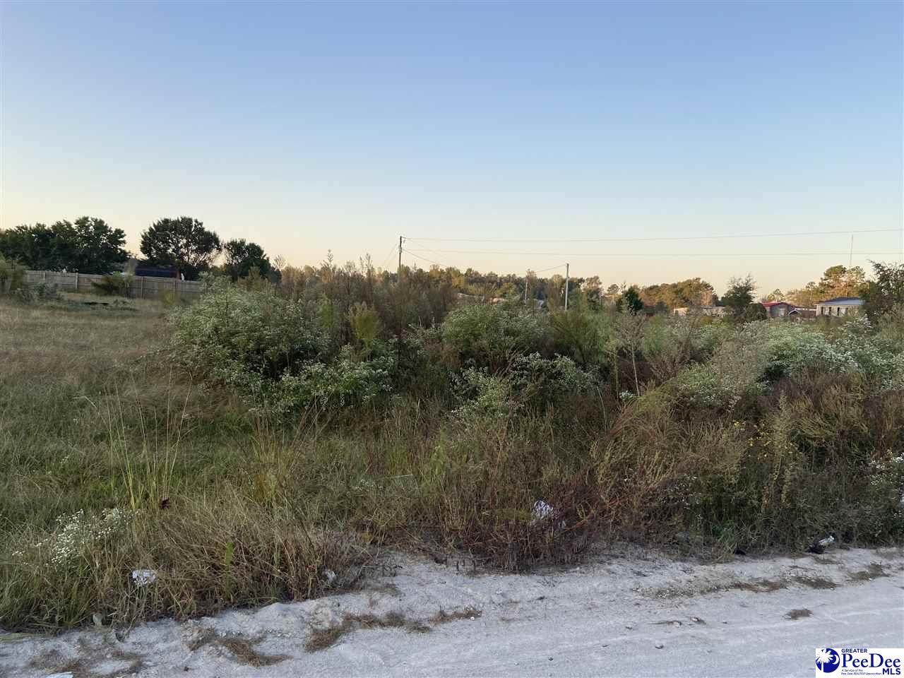 Lot R Linda Road - Photo 1