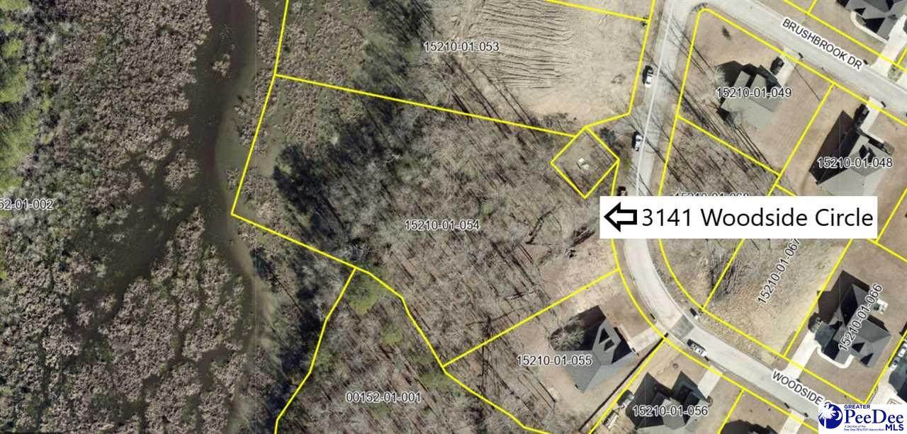 3141 Woodside Drive - Photo 1