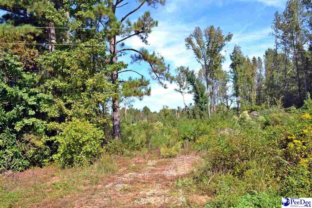 Highway 9 & Sandhills Road - Photo 1