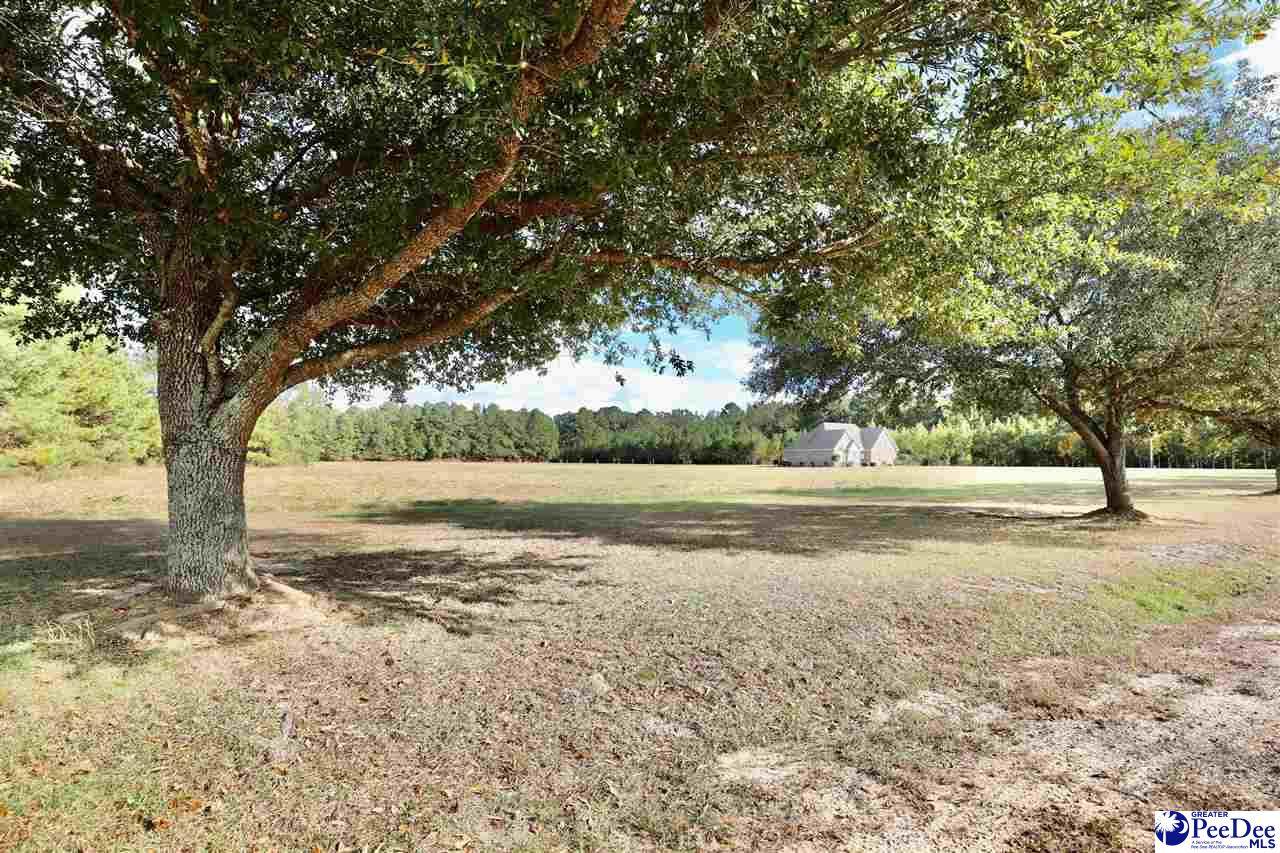 2754 Crepe Myrtle - Photo 1