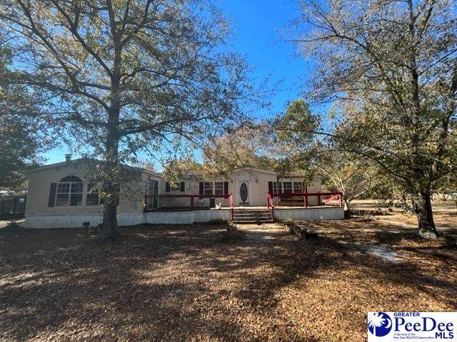 2143 Green Acres Loop - Photo 1