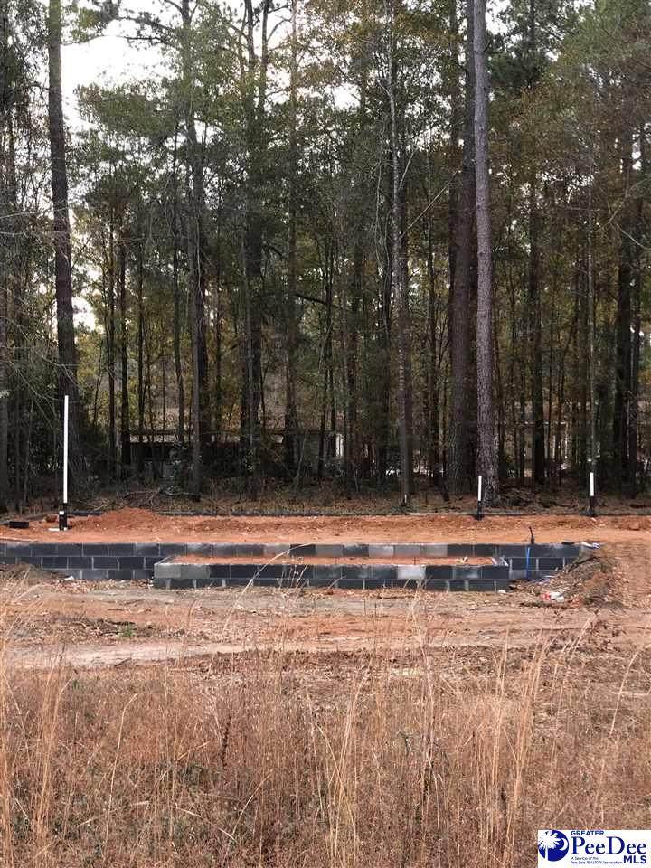 534 Freedom St. - Photo 1