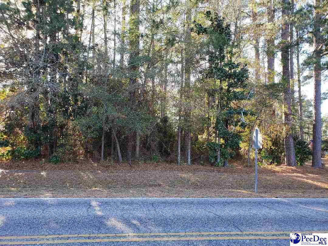 Sandy Bluff - Photo 1