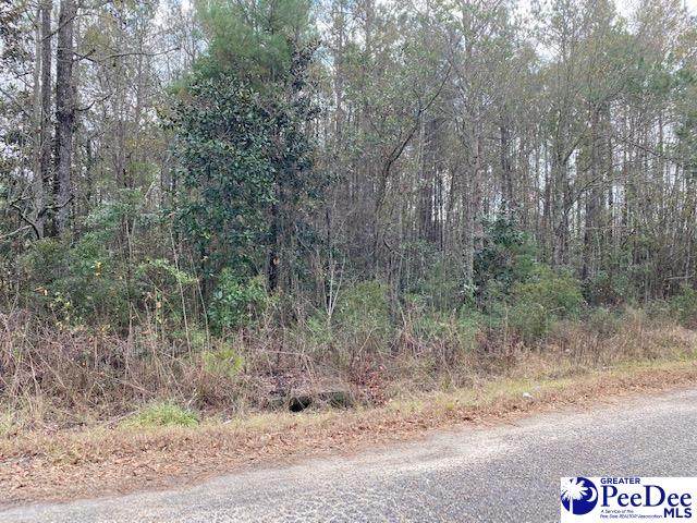 tbd Steve Carmichael Rd. 1.0 Ac - Photo 1