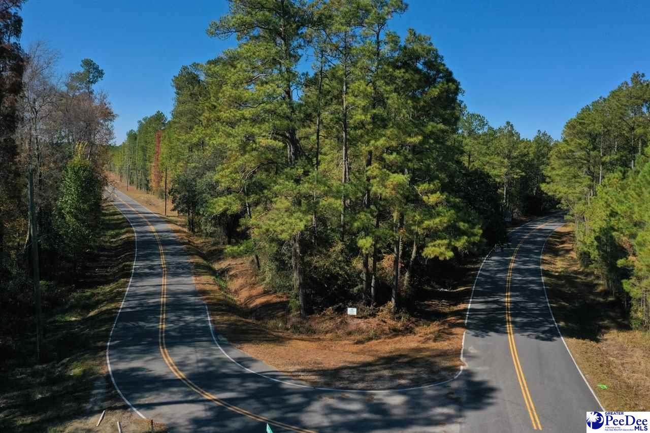 TBD Gunters Island Rd - Photo 1