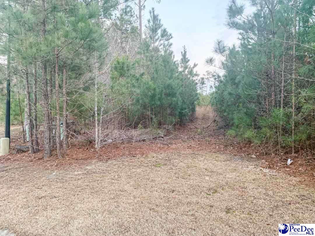 928 Ashton Drive - Photo 1