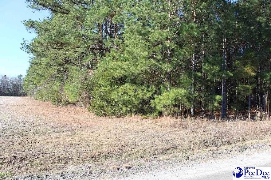1584 Glenheaven Rd - Photo 1