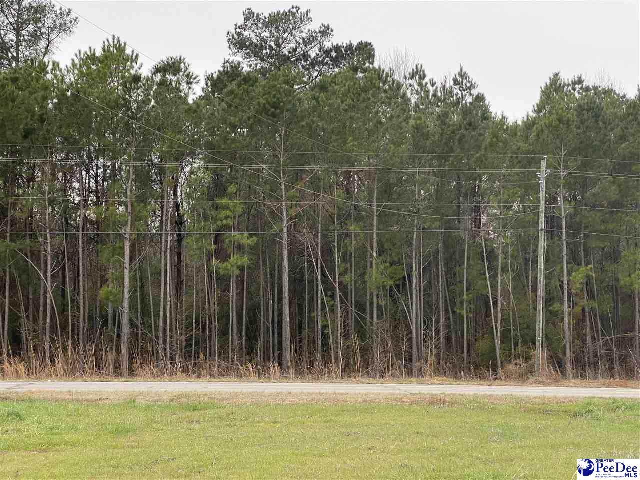 1511 Hwy 41 - Photo 1