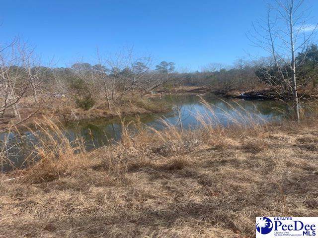 6134 Berry Road - Photo 1