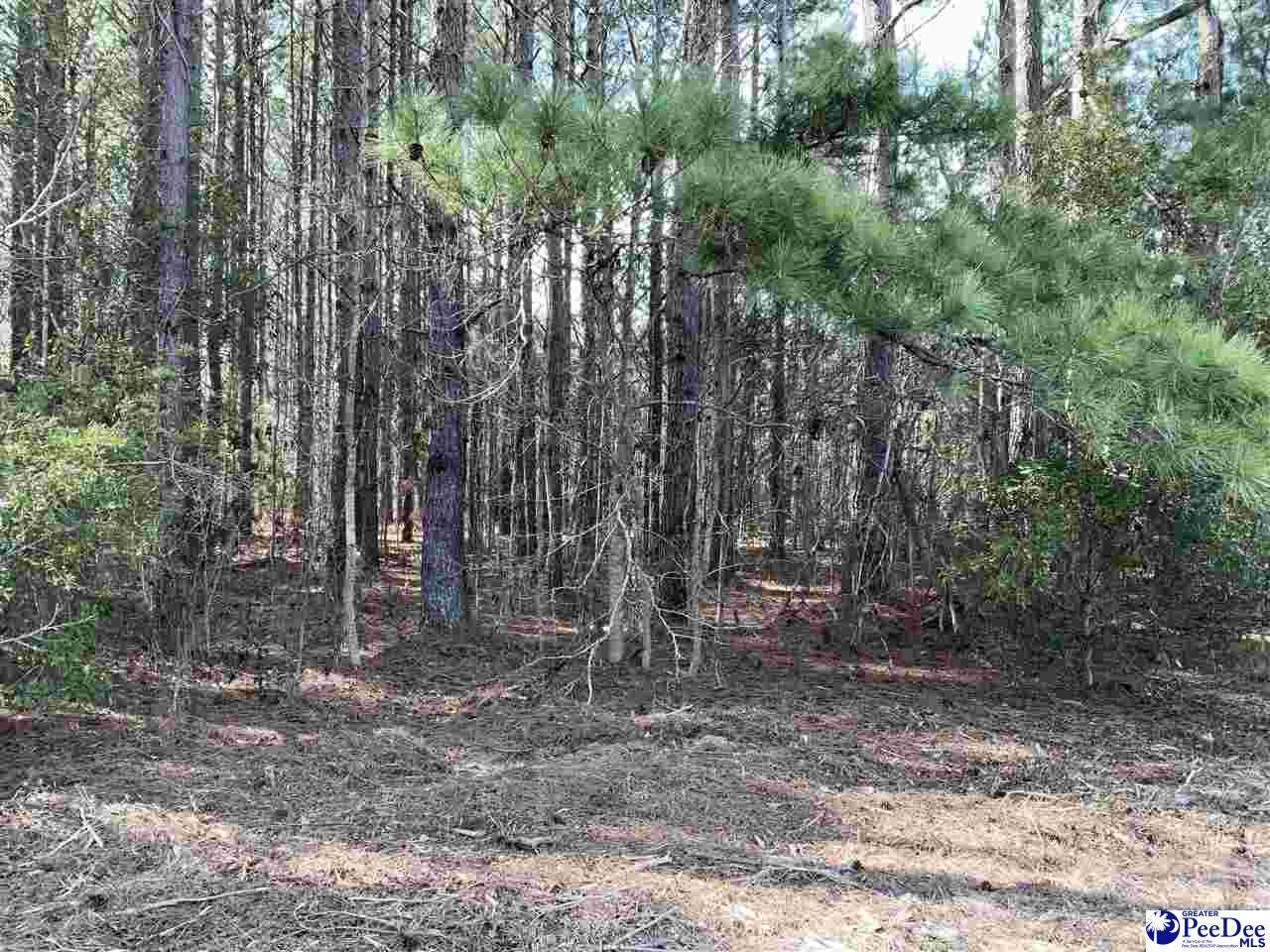 Blackberry Rd - Photo 1
