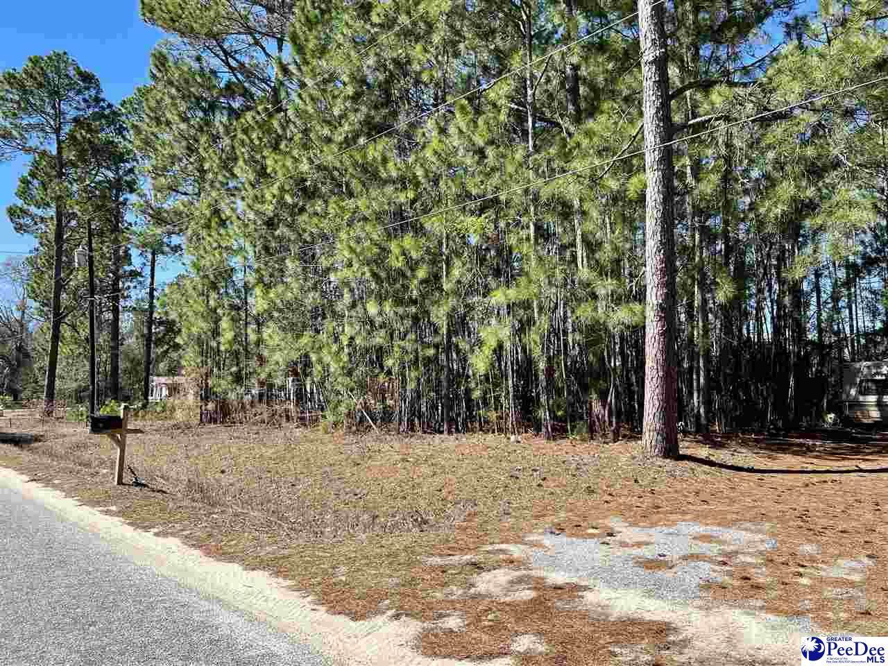 TBD Smutherman Drive - Photo 1